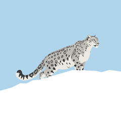 Snow leopard on snowy mountain peak 