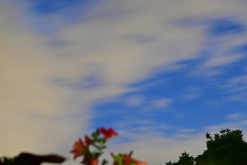 A serene and peaceful scene highlighting the wonder of the cosmos and the tranquility of nature at...