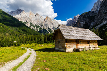 alpine pasture below the mountains in the Julian Alps in Kranjska Gora region