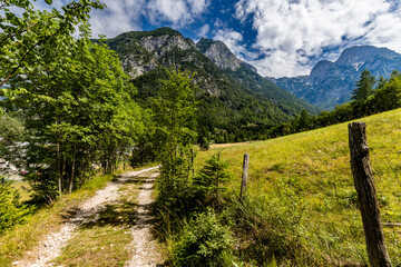 Summer in the Julian Alps - a hike through the Trenta Valley - path to the mountains