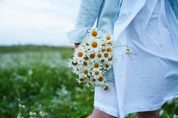 Woman holds daisy bouquet as gentle winds sway the blossoms. Each delicate flower radiates natural...