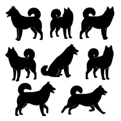 Collection of seven black silhouette husky dogs in various poses standing sitting and walking isolated on transparent background © PixelSaga MH2 