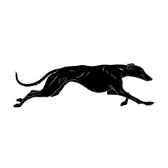 Fototapeta premium Elegant black silhouette of a greyhound dog in full stride showcasing its lean physique and graceful movement isolated on transparent background silhouette
