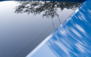 Tree reflection on car window