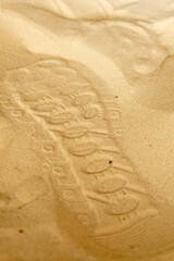 Footprint imprint on sandy ground