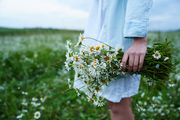 Woman holds daisy bouquet bursting with natural potential. The flowers' anti-inflammatory...