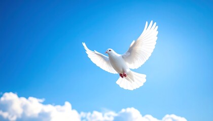 Serene sky with floating cloud resembling a white dove in gentle light