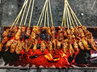 Delicious Grilled Satay A Culinary Delight of Charred Meat Skewers
