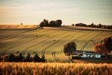 Golden Hour Over Rolling Fields in Bretten, Baden-Württemberg, Germany