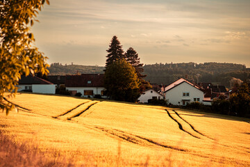 Golden Hour Over Rolling Fields in Bretten, Baden-Württemberg, Germany