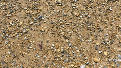 Stony Beach