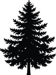 Fototapeta premium Silhouette of a Pine Tree