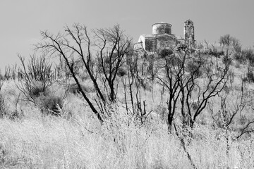 Chapel on hill surrounded by scorched trees, Gytheio, East Mani, Laconia, Peloponnese, Greece,...