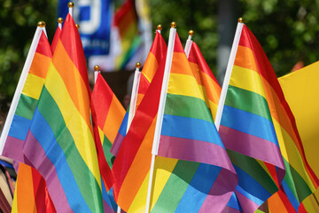 Colorful rainbow flags at vibrant outdoor lgbtq+ pride parade celebration