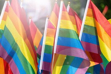 Colorful pride flags waving in sunlight celebrating lgbtq+ diversity and inclusion