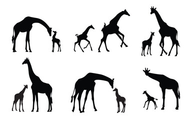 Family Giraffe Silhouette Set. Isolated Background. Vector Illustration.
