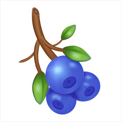 Vector illustration of ripe blueberries on a branch with green leaves.