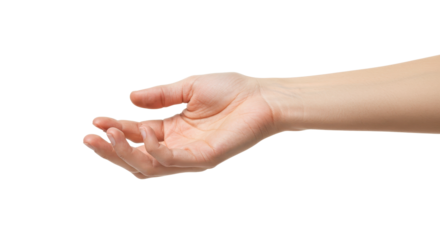 Extended hand with open palm.