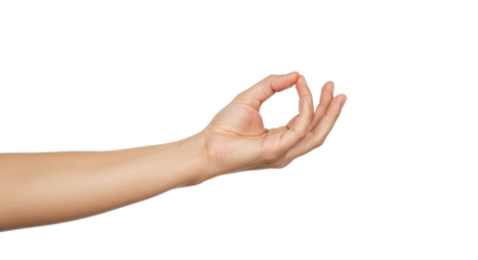 A human hand displaying a serene gesture.