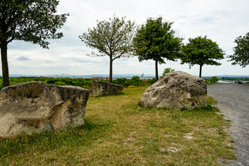 Landschaftsaufnahme mit großen Findlingen und locker stehenden Bäumen auf dem Kronsberg in...