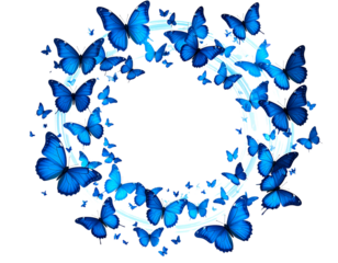 Stylized Blue Butterflies in Circular Motion Artistic Composition isolated on transparent background PNG