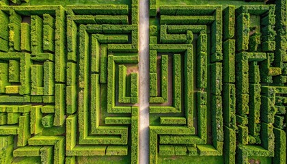 Aerial view of a lush green hedge maze with a clear pathway in the center, inviting exploration