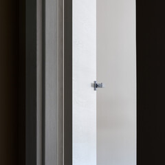 the front door is open into the room