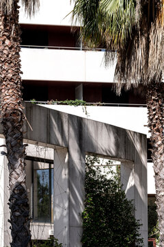 Palm trees beside white and brown concrete apartment facade in Montpellier, France, combining Mediterranean vegetation and modernist architectural language