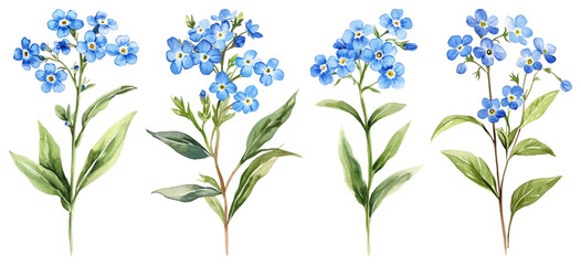 PNG Delicate watercolor blue flowers, element set on transparent background