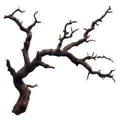 Fototapeta premium Bare tree branch silhouette isolated isolated on white or transparent png