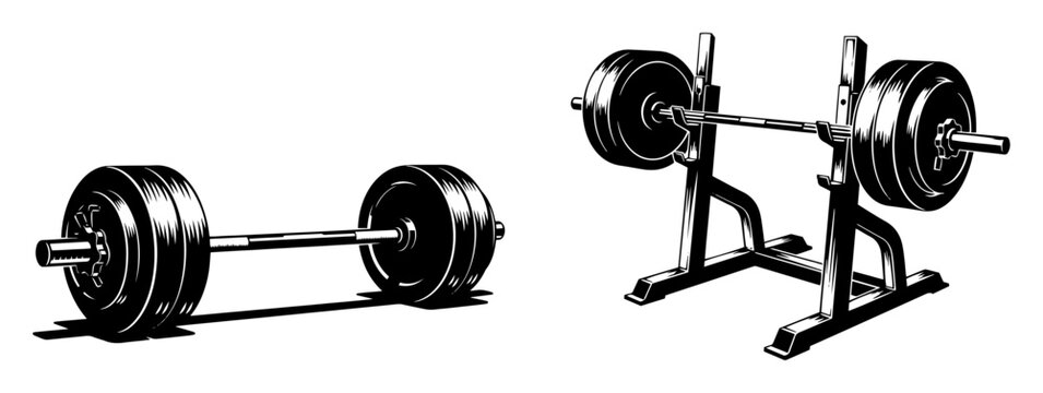gym barbell and bench press vector illustration