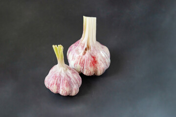 scattering of whole head of garlic in a dark  background