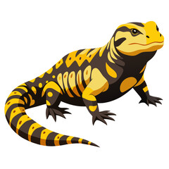 Obraz premium Vector Illustration of Uromastyx – Spiny Tail Lizard Warming on Rock