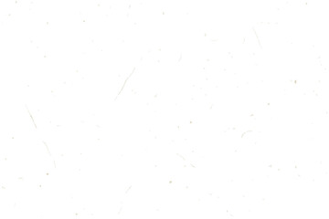 Subtle white speckled paper texture with natural fleck pattern