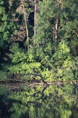 calm Water