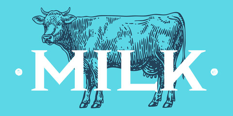 Cow, milk, dairy tag label. Template dairy farm, Milk Tag Label. Vintage cow print, tag, label sketch ink pencil drawing. Cow, milk dairy shop, text, typography. Vector Illustration