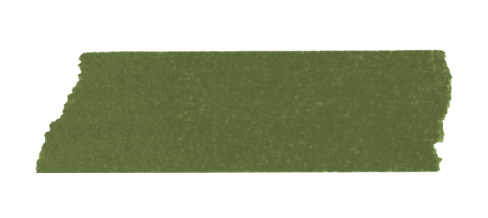 green sticker paper tape washi tape high quality isolated	