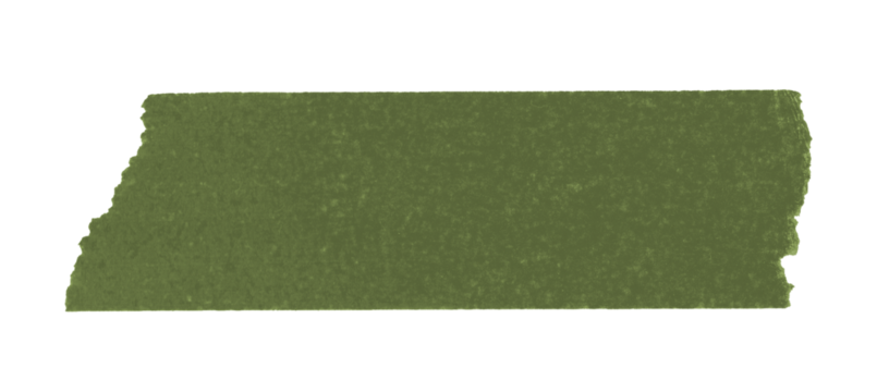 green sticker paper tape washi tape high quality isolated	