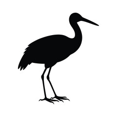Standing Ibis Bird Silhouette with Realistic Feet Vector Graphic.