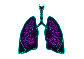 Isolated Luminous Neon Purple Human Lungs