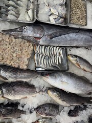 Assorted Fresh Seafood on Ice – Fish, Prawns, and Shellfish at Market