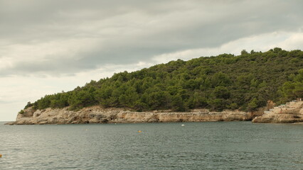 Panoramic view of a rocky Adriatic coastline covered with dense Mediterranean pine forest under a...