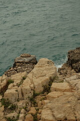 Close-up view of a rugged Adriatic shoreline with dry coastal vegetation and scattered stones,...