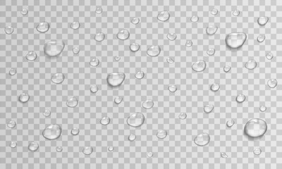 Vector Water Drops on Transparent Background. Realistic Raindrop Condensation. Stock royalty free