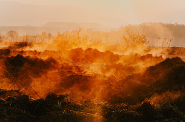 Orange morning mist at sunrise, colorful web-ready background