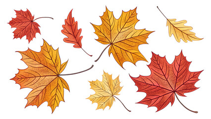 Hand-drawn fall leaves in red, yellow, and orange shades scattered on a white background, perfect for seasonal or Thanksgiving designs.
