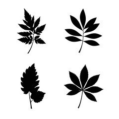 Silhouette Collection: Maple, Oak, Fern, and Willow Leaves; Minimalist Botanical Illustrations; Elegant Black and White Design.