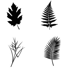 Silhouette Collection: Maple, Oak, Fern, and Willow Leaves; Minimalist Botanical Illustrations; Elegant Black and White Design.