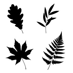 Silhouette Collection: Maple, Oak, Fern, and Willow Leaves; Minimalist Botanical Illustrations; Elegant Black and White Design.