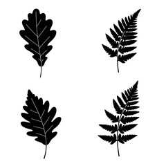 Silhouette Collection: Maple, Oak, Fern, and Willow Leaves; Minimalist Botanical Illustrations; Elegant Black and White Design.